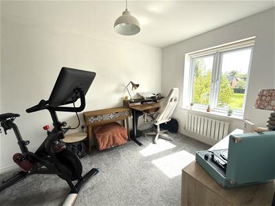 Picture 15